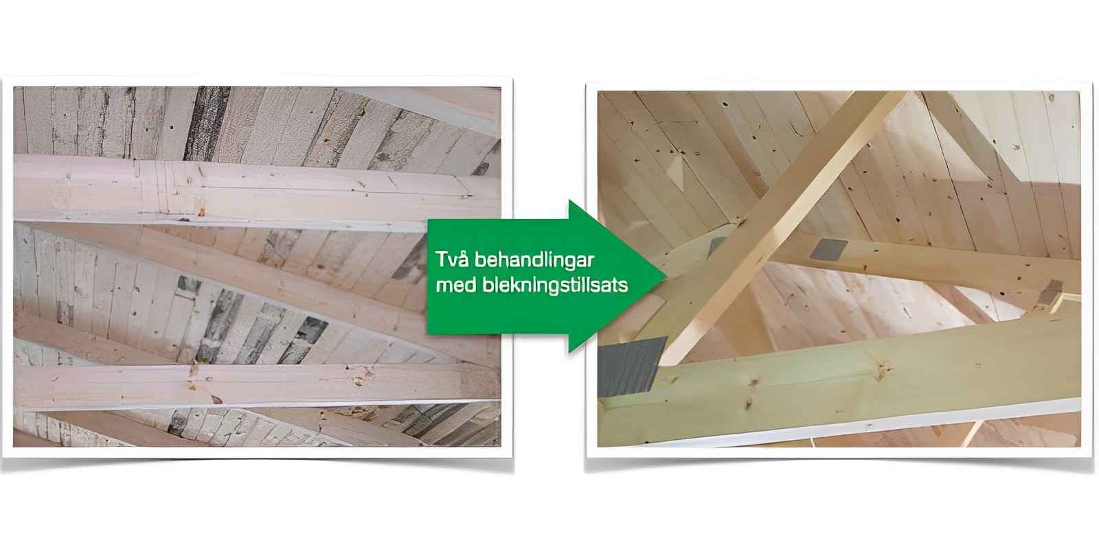 Marknadsledande luktsanering & desinficering